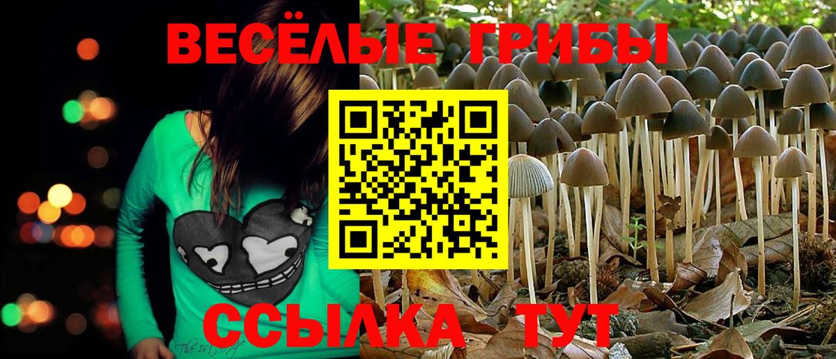 Галлюциногенные грибы MAGIC MUSHROOMS Волжский