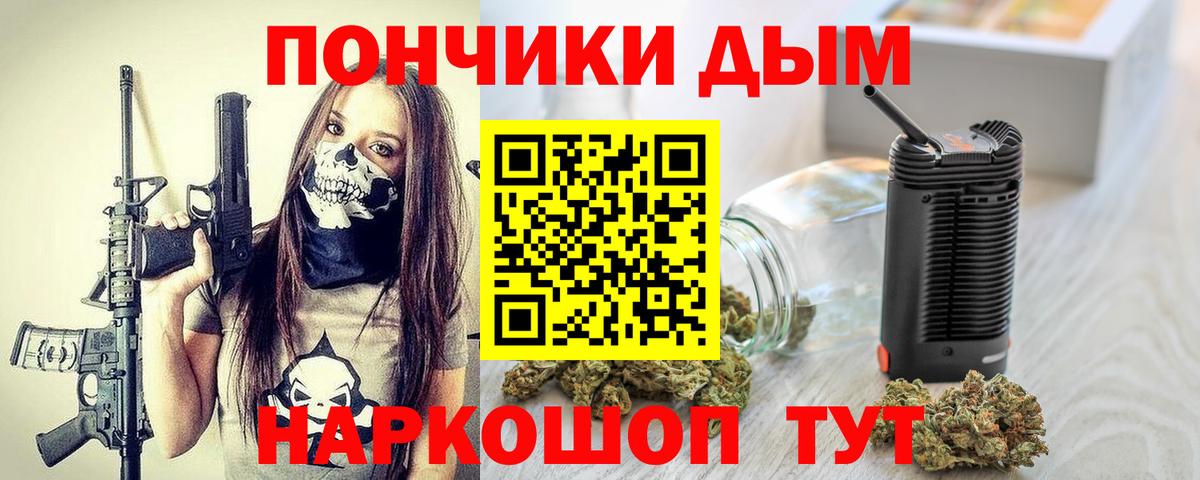 Бошки Шишки сатива Волжский